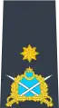 A Pakistan Air Force air commodore's rank insignia.