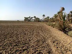 Landscape in Bafq County