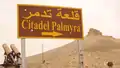 The Palmyra Castle can be seen in the background.