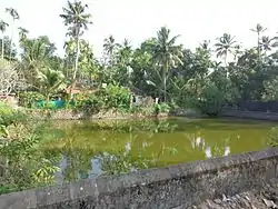 Pandavarkavu Devi Temple pond