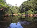 Panthrandam Chall Bird Sanctuary