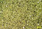 Close view of olivine-rich sand found on the beach