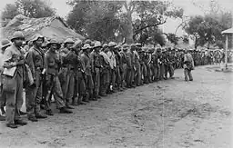 Paraguayan troops lined up in a jungle