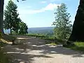 Burcina Park – entrance to the valley of rhododendrons. In the background the morainic hill of Serra (Ivrea)