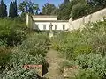 The hot-house called the Stufa di mugherini, at the end of the ortaccio, was built in the 18th century to nurture exotic flowers such as the jasminum sambac.