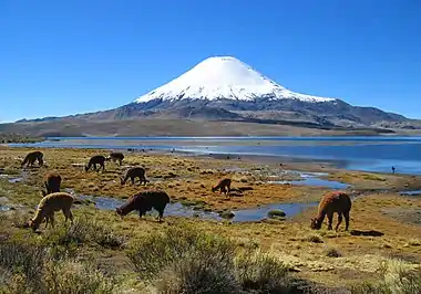 Parinacota Volcano