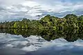 Jaú National Park in Amazon rainforest of Brazil