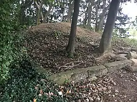 Partially Buried Woodshed remains, Kent, OH, US