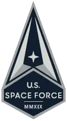 Lapel Insignia