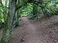 Walking along the path in Hubbards Hills.