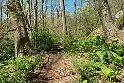 The Patriots' Path by the Black River near the Elizabeth D. Kay Environmental Center