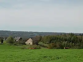 A general view of Saint-Pantaléon-de-Lapleau