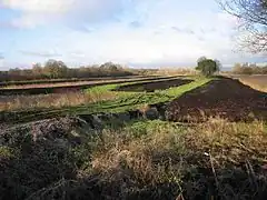 Preparing areas in the Somerset Levels for peat extraction, 2005