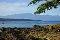 View of the mountain from a rocky beach near Manokwari