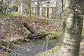 Confluence with River Beal