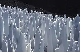 Field of penitentes (1.5–2 metres or 5–7 feet high); upper Rio Blanco, Central Andes of Argentina.