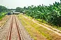 The former branch line railbed to Port of Bojanegara (right)