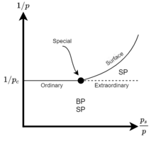 Different surface phase transitions can occur depending on the values of the bulk occupation probability "p" and the surface occupation probability "s of p".