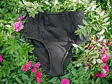 Pretty period panties