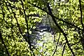 Pearl River in the fall
