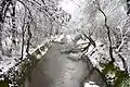 Perlovska river in winter