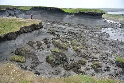 Thawing permafrost in Herschel Island, Canada, 2013