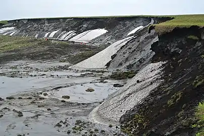 Thawing permafrost in Herschel Island, Canada, 2013