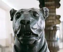 A Persepolitan mastiff statue, kept at the Museum of Ancient Iran.