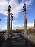 Persian columns at Persepolis, Iran