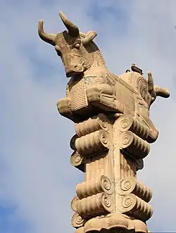 Bull capital at Persepolis