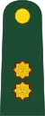 Brigade General