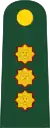 Divisional General