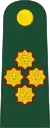 General de ejército(Peruvian Army)