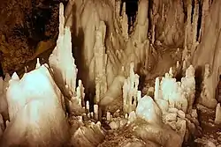 Scărișoara Cave