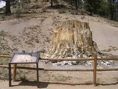 Petrified redwood stump in Florissant Fossil Beds National Monument