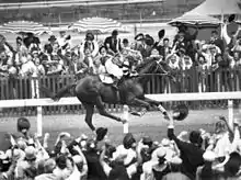 Image 32Phar Lap winning the Melbourne Cup, "the race that stops a nation" (from Culture of Australia)