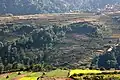 Rice terraces