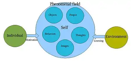 Phenomenal field theory