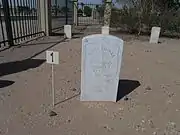 The grave of Millard Lee Raymond in the "Porter Cemetery" section.