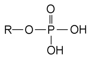 Phosphate