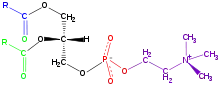 Phosphatidyl choline