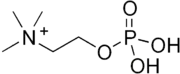 Skeletal formula