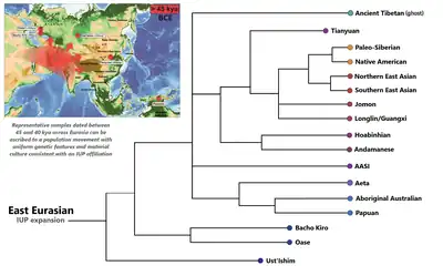 Image 56Phylogenetic position of the Aboriginal Australian lineage among other East Eurasians. (from Aboriginal Australians)