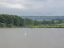 Expanse of water with white birds. Trees and hills in the background