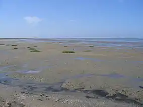 The mudflats of the Pilsumer Watt near Greetsiel, Germany