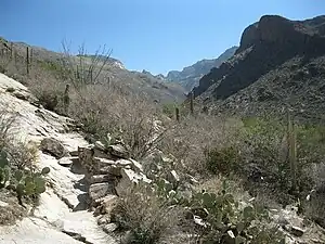 Mouth of Pima Canyon