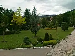 Landscape in the park