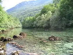 Piva River