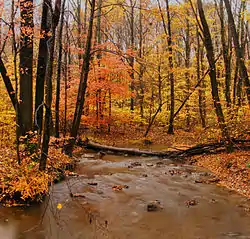 Bushkill Creek in Plainfield Township, October 2010