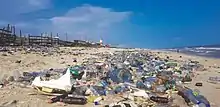 Image 20Plastic pollution at a beach near Accra, Ghana (from Developing country)